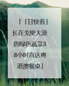 「甘快看」长在戈壁大漠的绿色蔬菜38小时直达粤港澳餐桌