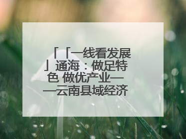 「一线看发展」通海：做足特色 做优产业——云南县域经济样本观察之二