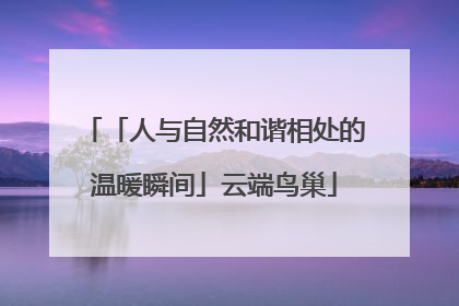 「人与自然和谐相处的温暖瞬间」云端鸟巢