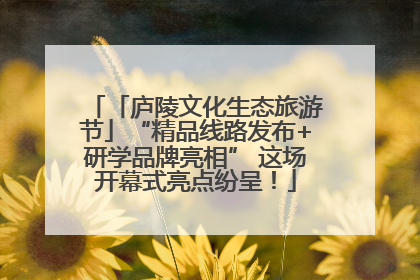 「庐陵文化生态旅游节」“精品线路发布+研学品牌亮相” 这场开幕式亮点纷呈！