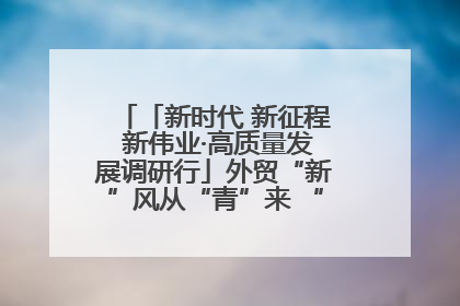 「新时代 新征程 新伟业·高质量发展调研行」外贸“新”风从“青”来 “双向奔赴”启新程