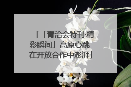 「青洽会特刊·精彩瞬间」高原心跳 在开放合作中澎湃