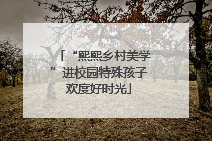 “熙熙乡村美学”进校园特殊孩子欢度好时光