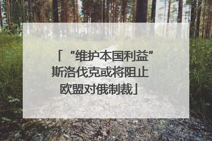 “维护本国利益” 斯洛伐克或将阻止欧盟对俄制裁