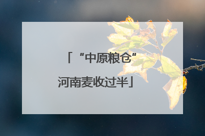 “中原粮仓”河南麦收过半