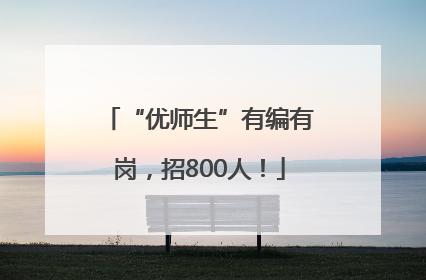 “优师生”有编有岗，招800人！