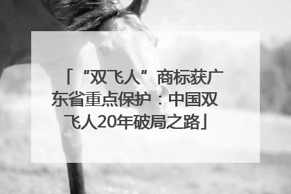 “双飞人”商标获广东省重点保护：中国双飞人20年破局之路
