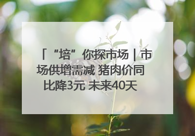 “培”你探市场｜市场供增需减 猪肉价同比降3元 未来40天便宜猪肉敞开吃