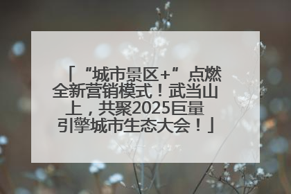“城市景区+”点燃全新营销模式！武当山上，共聚2025巨量引擎城市生态大会！