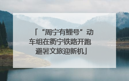 “周宁有鲤号”动车组在衢宁铁路开跑 避暑文旅迎新机