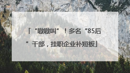 “嗷嗷叫”！多名“85后”干部，挂职企业补短板
