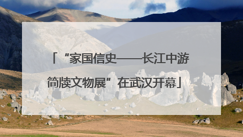 “家国信史——长江中游简牍文物展”在武汉开幕