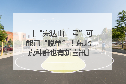 “完达山一号”可能已“脱单”！东北虎种群也有新喜讯