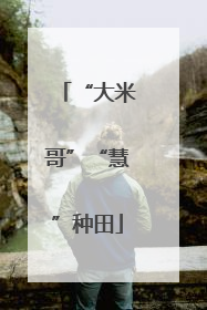 “大米哥”“慧”种田