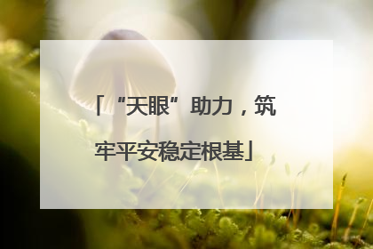 “天眼”助力，筑牢平安稳定根基