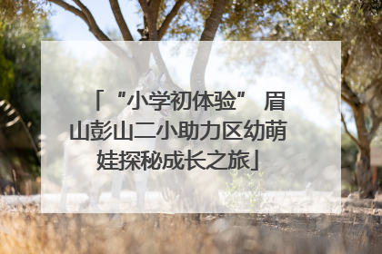 “小学初体验” 眉山彭山二小助力区幼萌娃探秘成长之旅