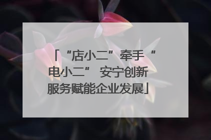 “店小二”牵手“电小二” 安宁创新服务赋能企业发展