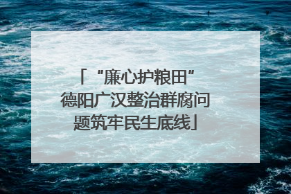 “廉心护粮田” 德阳广汉整治群腐问题筑牢民生底线