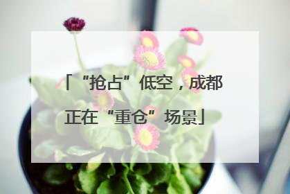 “抢占”低空，成都正在“重仓”场景