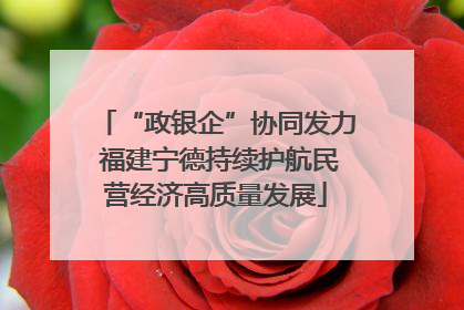 “政银企”协同发力 福建宁德持续护航民营经济高质量发展