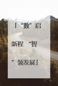 “数”启新程 “智”领发展