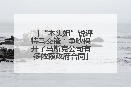 “木头姐”锐评特马交锋：争吵揭开了马斯克公司有多依赖政府合同