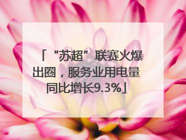 “苏超”联赛火爆出圈，服务业用电量同比增长9.3%