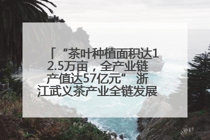 “茶叶种植面积达12.5万亩，全产业链产值达57亿元” 浙江武义茶产业全链发展“加速度”