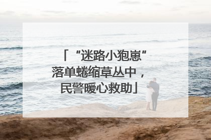 “迷路小狍崽”落单蜷缩草丛中，民警暖心救助