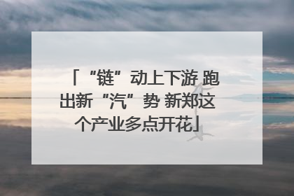 “链”动上下游 跑出新“汽”势 新郑这个产业多点开花