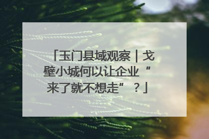 玉门县域观察｜戈壁小城何以让企业“来了就不想走”？