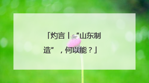 灼言丨“山东制造”，何以能？