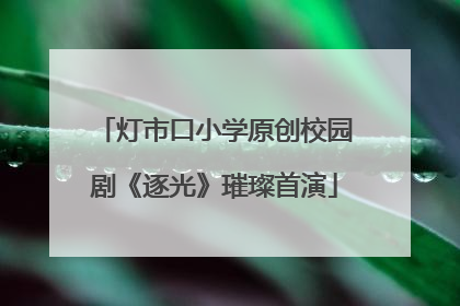 灯市口小学原创校园剧《逐光》璀璨首演