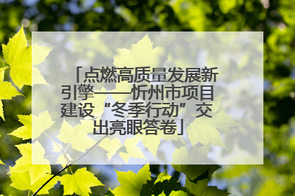 点燃高质量发展新引擎——忻州市项目建设“冬季行动”交出亮眼答卷