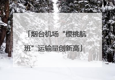烟台机场“樱桃航班”运输量创新高