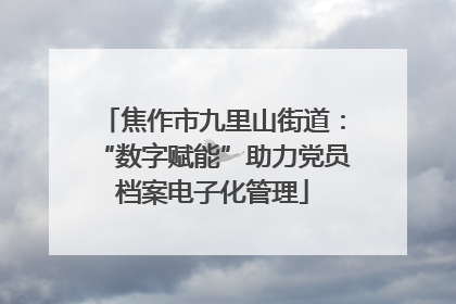 焦作市九里山街道：“数字赋能”助力党员档案电子化管理