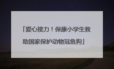 爱心接力！保康小学生救助国家保护动物冠鱼狗
