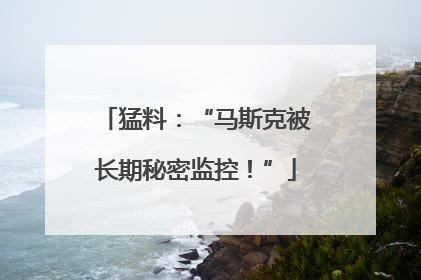 猛料：“马斯克被长期秘密监控！”