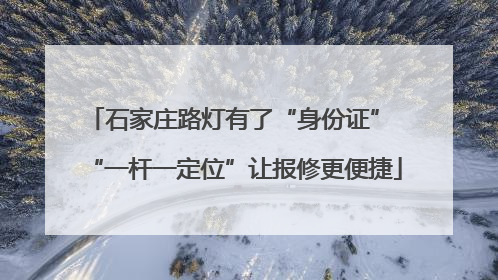 石家庄路灯有了“身份证” “一杆一定位”让报修更便捷