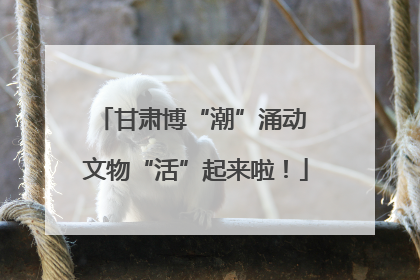 甘肃博“潮”涌动 文物“活”起来啦！