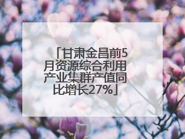 甘肃金昌前5月资源综合利用产业集群产值同比增长27%