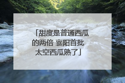 甜度是普通西瓜的两倍 襄阳首批太空西瓜熟了
