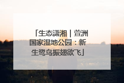 生态潇湘｜萱洲国家湿地公园：新生鹭鸟振翅欲飞