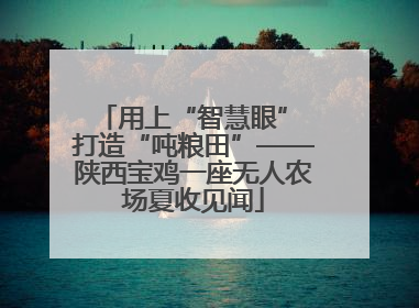 用上“智慧眼” 打造“吨粮田”——陕西宝鸡一座无人农场夏收见闻