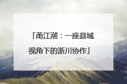 甬江潮：一座县域视角下的浙川协作