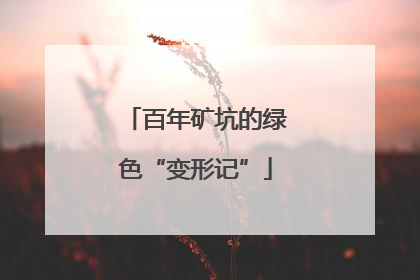 百年矿坑的绿色“变形记”