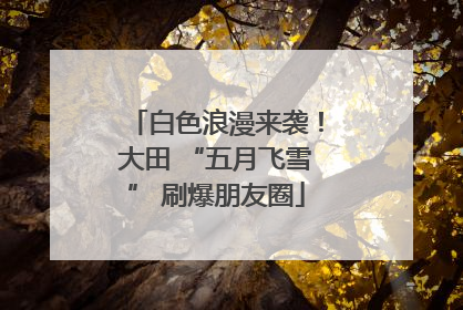 白色浪漫来袭！大田 “五月飞雪” 刷爆朋友圈