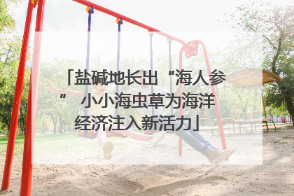 盐碱地长出“海人参” 小小海虫草为海洋经济注入新活力