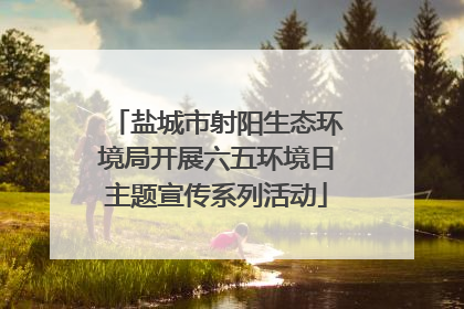 盐城市射阳生态环境局开展六五环境日主题宣传系列活动