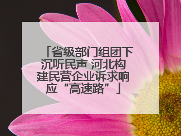 省级部门组团下沉听民声 河北构建民营企业诉求响应“高速路”